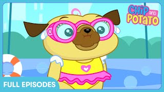 Chip's Big Splash and Homework Help! 🌊 - Chip and Potato | WildBrain Family Fun House