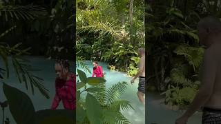 Philippines Nature Spring #fypシ゚viral #travelvlog #naturelovers