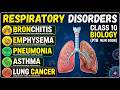 Class 10 Biology Chapter 2 |Respiratory Disorders Explained | Bronchitis, Asthma, Emphysema ,cancer