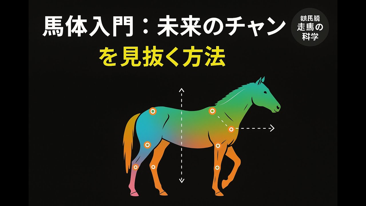 【馬体入門】歩き方と骨格で“未来のチャンピオン”を見抜く科学