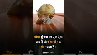 amazing about snail 🐌 🥺 #facts #factshorts #factsinhindi #shorts #snail #snails