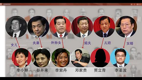 焦点对话：巴拿马文件大轰动，中共高层谁清白？ - 天天要闻