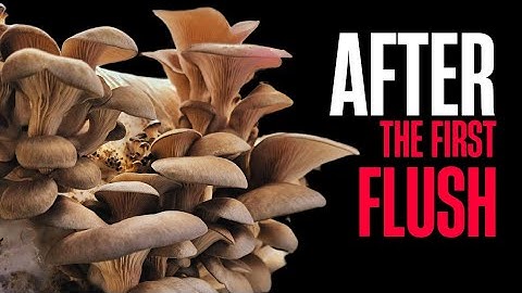 AFTER THE FIRST FLUSH, Staging Blocks for Subsequent Flushes