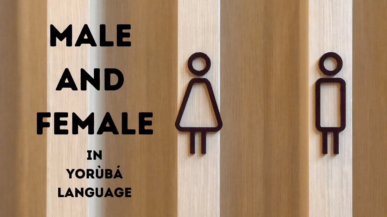 gender-how-to-say-male-and-female-in-yor-b-language-youtube
