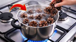 Boil Pine Cones and Make Money! You Won't Believe the Result! 😱 | Secret Uses