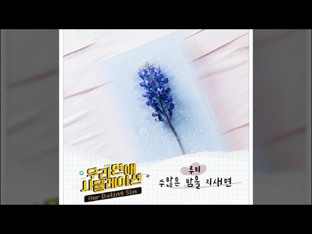 01 수많은 밤을 지새면   루미 class=