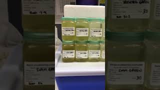 Nano Bubble treatment