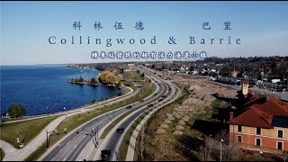 安大略省海灣城市探索｜Collingwood & Barrie? ｜超有度假Vibe｜往藍山不可錯過