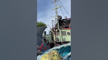 JAWS | Universal Studios NEW Mega Movie Parade @UniversalOrlando #jaws