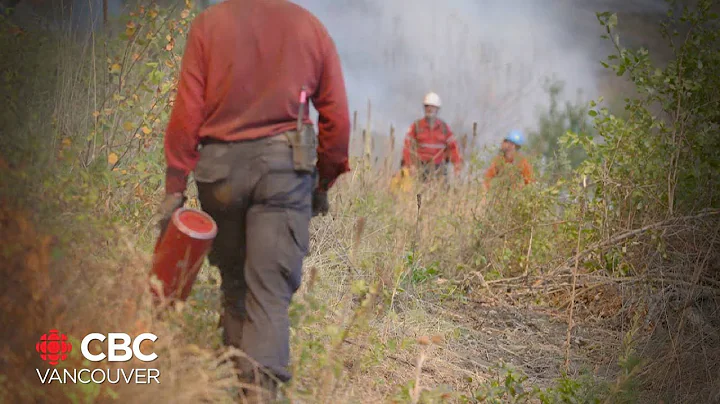 B.C. firefighters to help battle raging fire in Yukon
