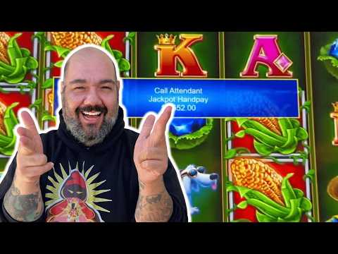 GREATEST JACKPOT MOMENT WITH SHINOBI!!!!!!!!!