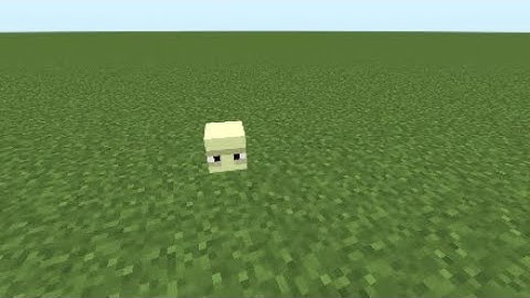 What if you put invisibility on a shulker?