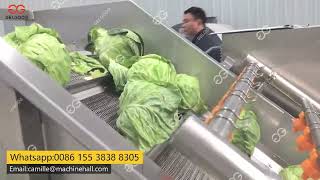Cabbage Vegetable Salad Washing Cutting De-watering Processing Line