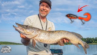 Pike fishing with Svartzonker – Testing NEW Baits!