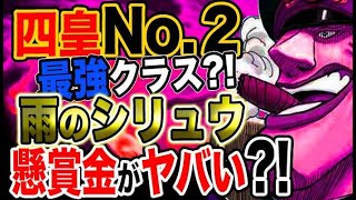 ワンピースまとめ 黒ひげ海賊団 シリュウ 画像あり みつエモンのオタク情報館