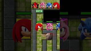 NEW SONIC MAZE CHALLENGE - Sonic vs Shadow x Rouge: Who Is Hiding in the Mysterious Darkness? #sonic