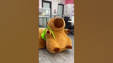 Chị em lưu ý tí nhé #bemori #gaubong #gấu bông #capybara