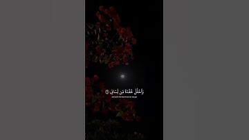 اكتب شي تؤجر عليه 🤍 ｜ القارئ احمد خضر ｜ قرآن كريم