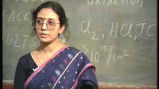 Lecture - 14 Oxidation IV - Oxide Charges