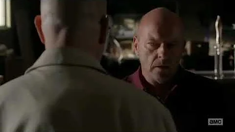 hank punches walt