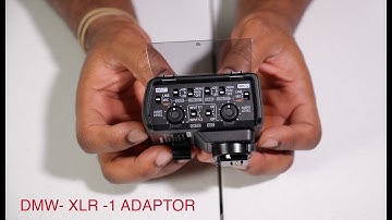 Panasonic XLR1 adapter and GH5s audio setup