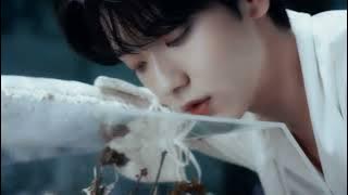 투모로우바이투게더 - Love Story TXT  (FMV)