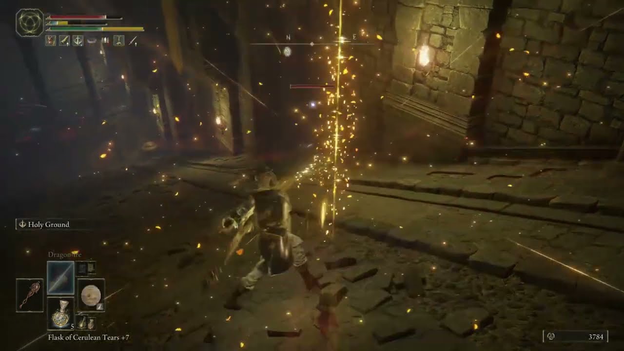 ELDEN RING™ funny bug