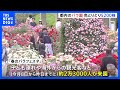 400種類のバラが咲き誇る　海外からの観光客ら約2万3000人が訪れる　東京・神代植物公園で「春のバラフェスタ」｜TBS NEWS DIG