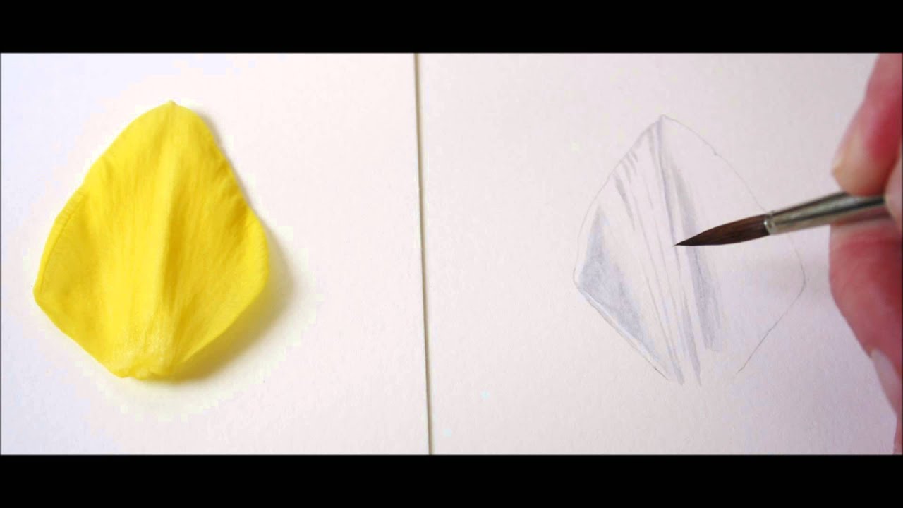 Botanical Art - Painting Yellow Flowers
