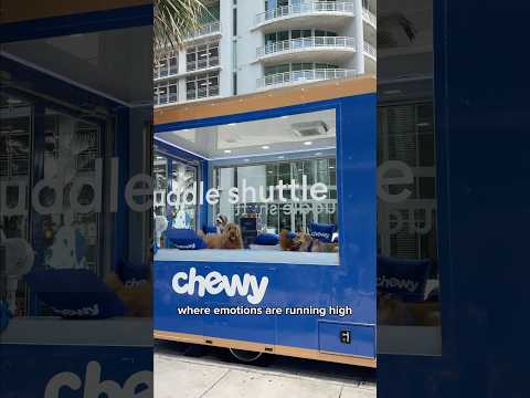 They made a CUDDLE SHUTTLE! @Chewy #chewypartner #worldcup2026 #doglove