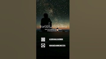 وذكر فإن الذكرى تنفع المؤمنين 🤍تلاوة إسلام صبحي