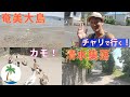 【奄美大島 チャリで集落巡り】山を超えて昔ながらの石垣が残る清水集落へ