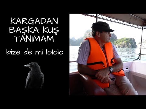 KARGADAN BAŞKA KUŞ TANIMAM - BİZE DE Mİ LOLOLO