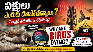 పక్షులు ఎందుకు చనిపోతున్నాయి? 😨 మొబైల్ టవర్స్ భయంకర నిజాలు | 5G Radiation Truth
