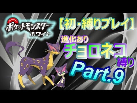 9 初 縛りプレイ レパルダス一匹最終決戦 ポケットモンスターホワイト Pokemon Bw 実況プレイ Youtube