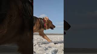 Los Menucos 🇦🇷 Capital Nacional de la Piedra Laja