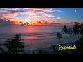 Lo fi Hip Hop Radio Music Video Relax Chill Beat 🌴  ( Free Copyright Music ) | FREE MUSIC Beach 2021