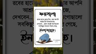 ফযসল রবর হত