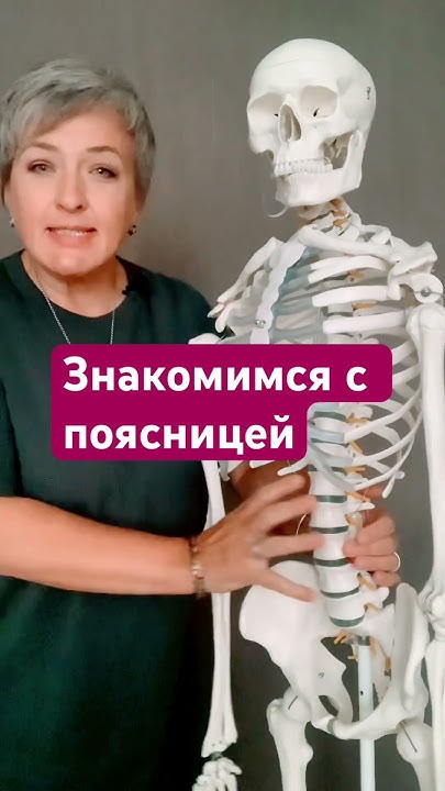 Нервы, почки, кости… поясница! #нейро #поясница #спина #скелет - YouTube