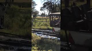 Hyundai needs help by #landrover #defender having break down on Safari… #shorts