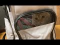 【開封動画】ねこのきもちのリュックを試してみました！