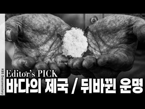 "기술을 모방할 수 없다면 손을 잘라라" 영국의 독점과 착취 속에 엄지손가락이 절단당한 <strong>인도</strong> 장인들의 피눈물 | KBS 특별기획 20150205 방송