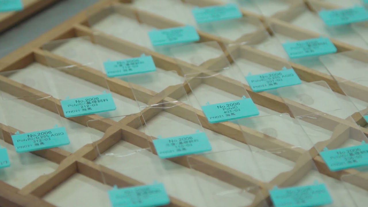 見える が拓くミライ 命をつなぐ技術コンソーシアム