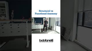 Structural vs Functional Anatomy Training - Applied Movement Science