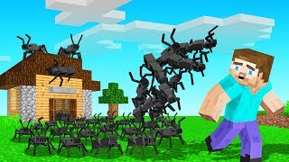 TROLLED My Friend's House With KILLER ANTS! (Minecraft)