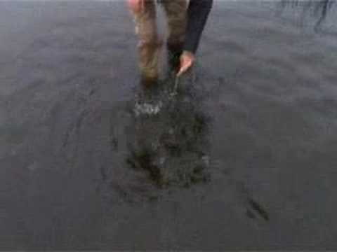 Argentina - Flyfishing Rio Gallegos - Seatrout Fly...