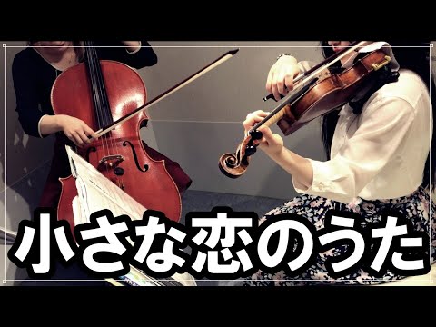 小さな恋のうた/モンゴル800（Violin Cello cover）