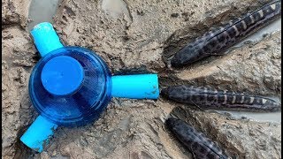 TR Technology: Making Plastic Bottle To Catch a lot of fish