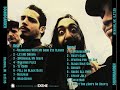 Soundgarden 1995 Reading Festival UK - upgraded audio (audio only)