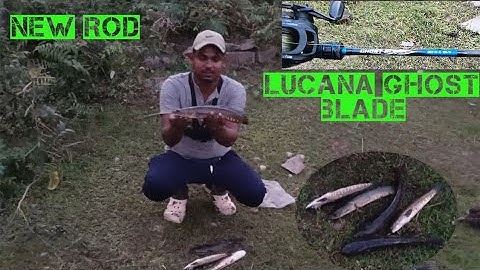 Back to back attack cobra snakehead ll Jabrdast Fishing ll lucona ghost blade rod ll Village Fishing